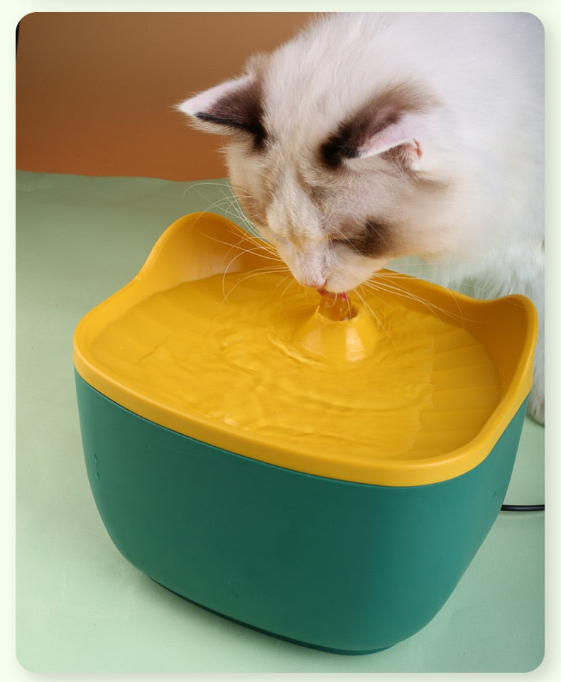 Non Electric Cat Water Fountain - Cat water fountain