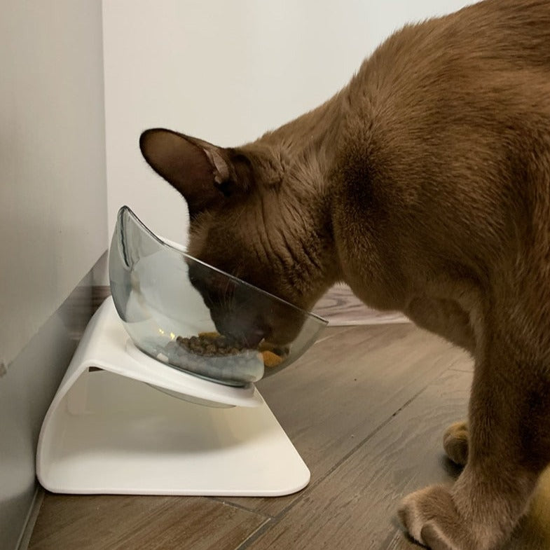 Non-Slip Cat Bowl - Cat Bowls