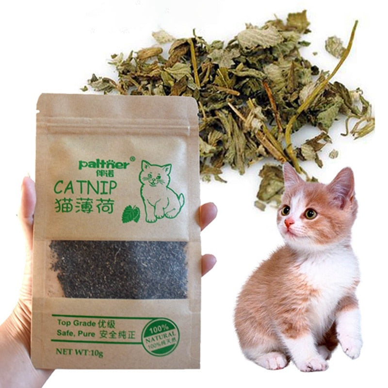 Organic Catnip