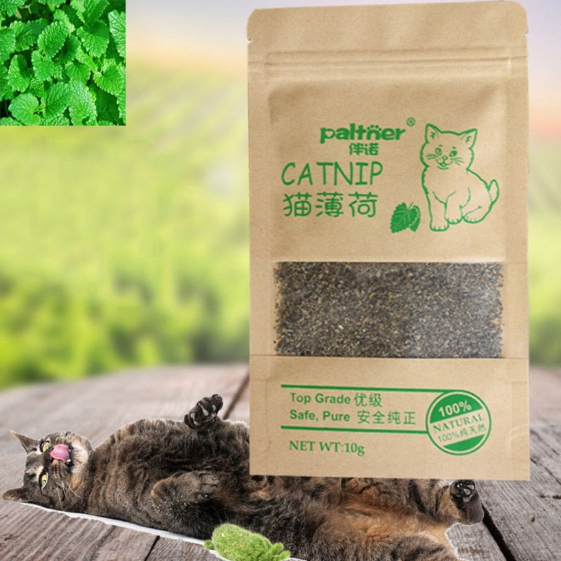 Organic Catnip