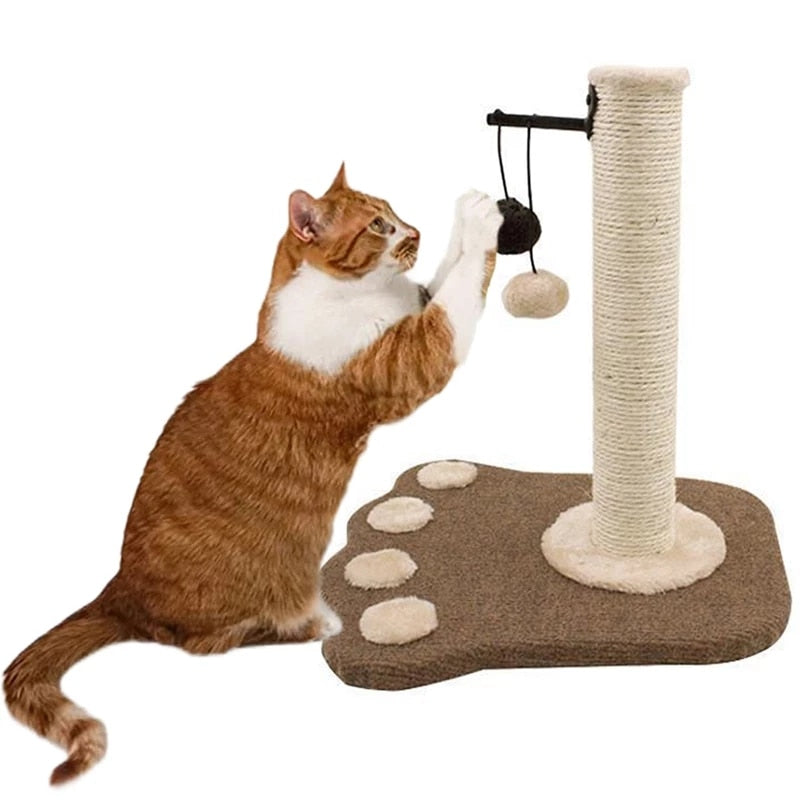Outdoor Cat Scratch Post - Cat scratching post