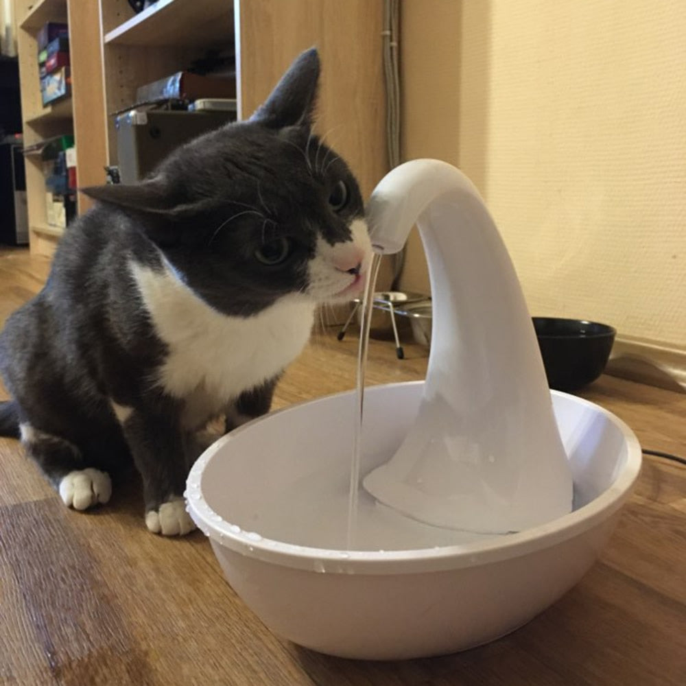 Outdoor cat water outlet bowl