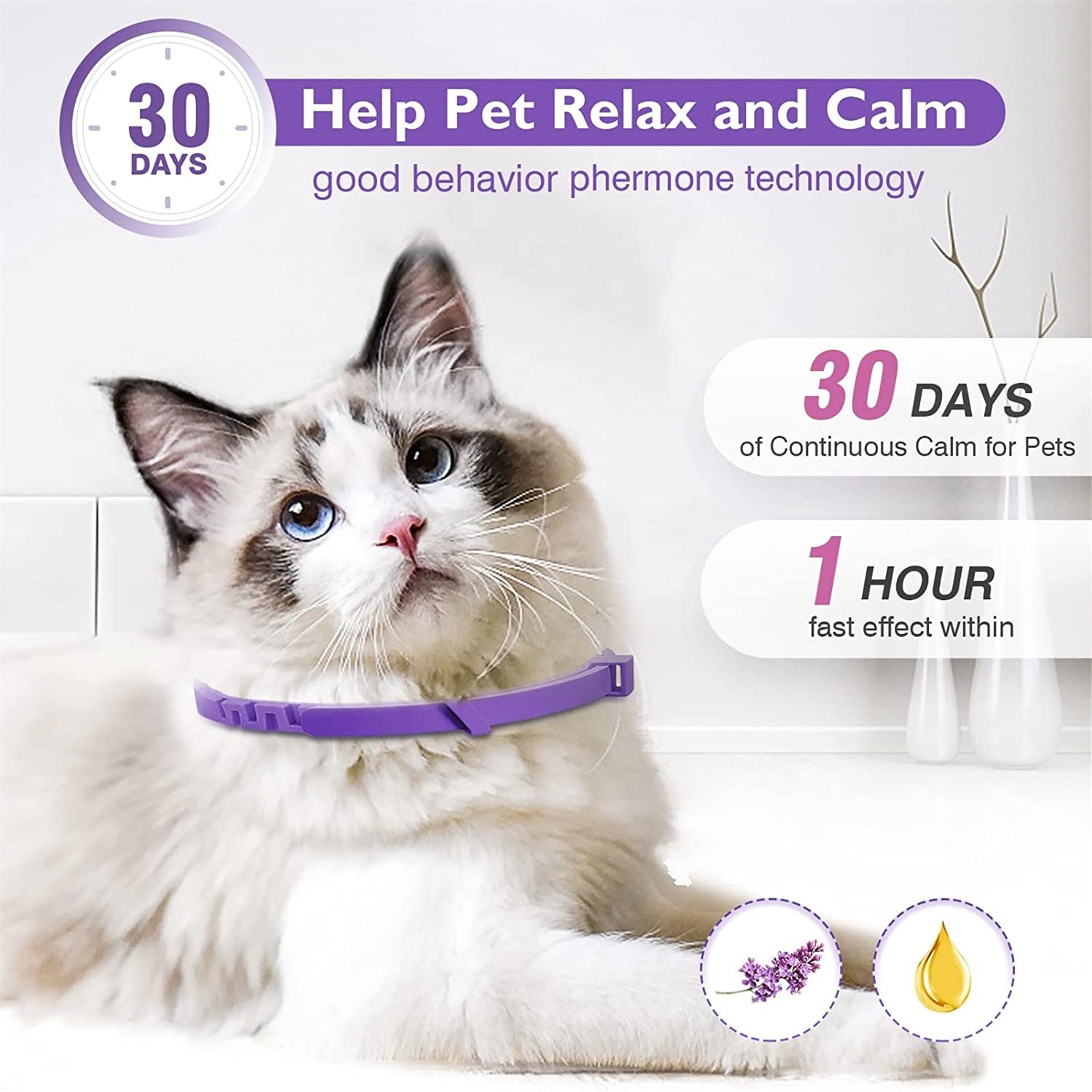 Pheromone Collars for Cats - Cat collars