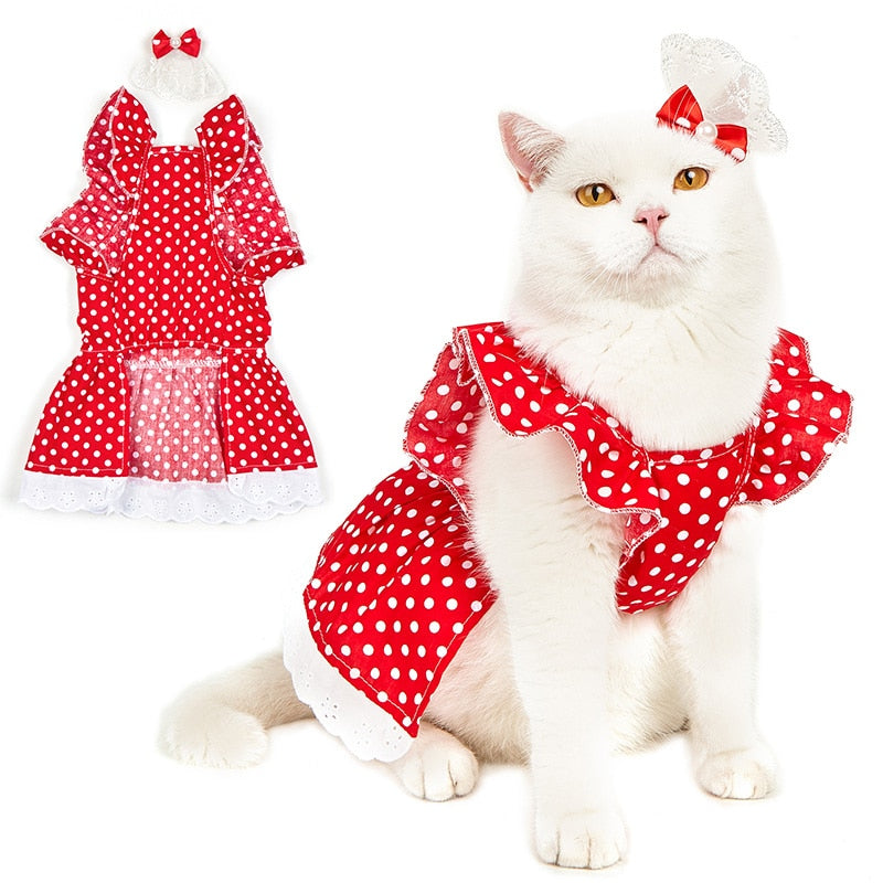 Polka Dot Clothes for Cats - Clothes for cats
