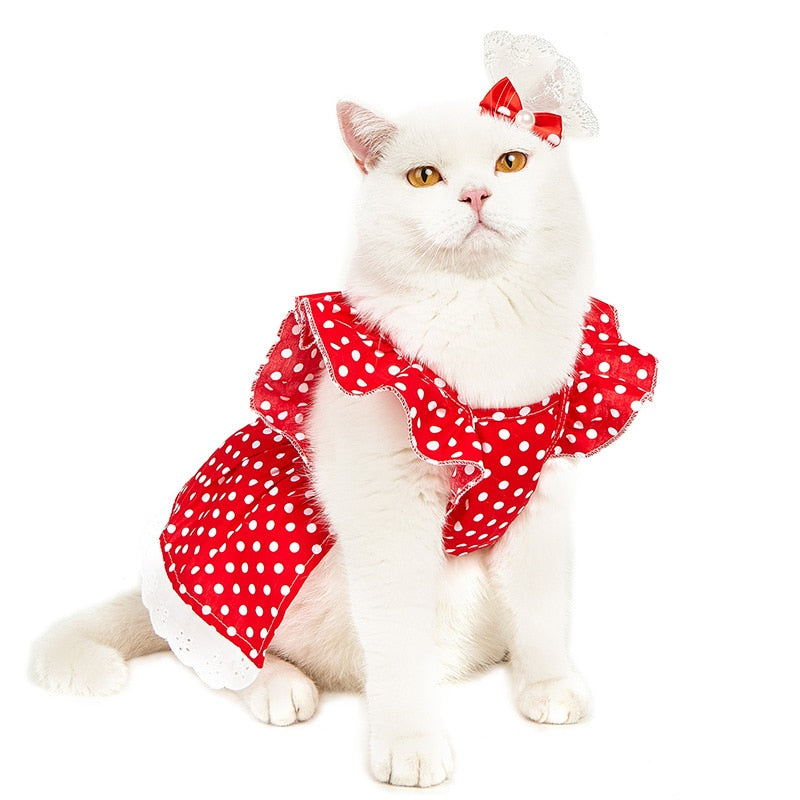 Polka Dot Clothes for Cats - Clothes for cats
