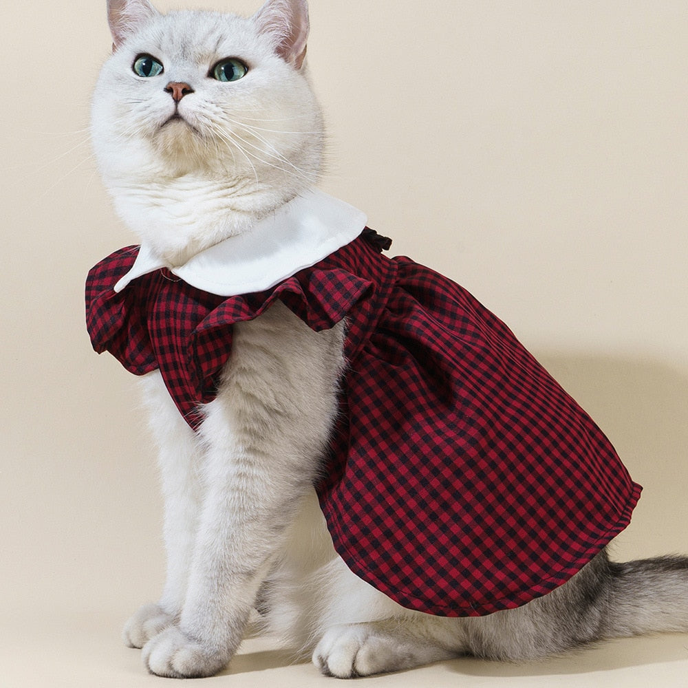 Preppy Clothes for Cats - Maroon / XS - Clothes for cats