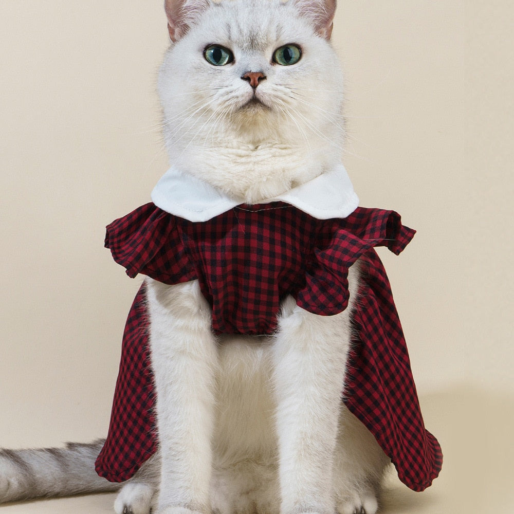 Preppy Clothes for Cats - Clothes for cats