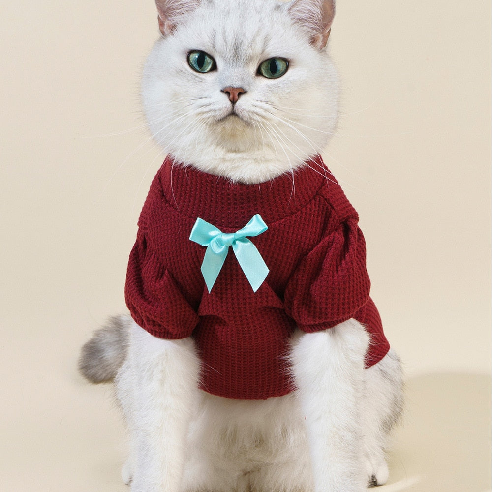 Preppy Clothes for Cats - Clothes for cats