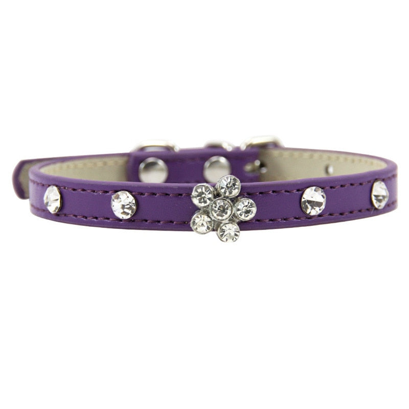 Pretty Cat Collars - Purple / XS - Cat collars