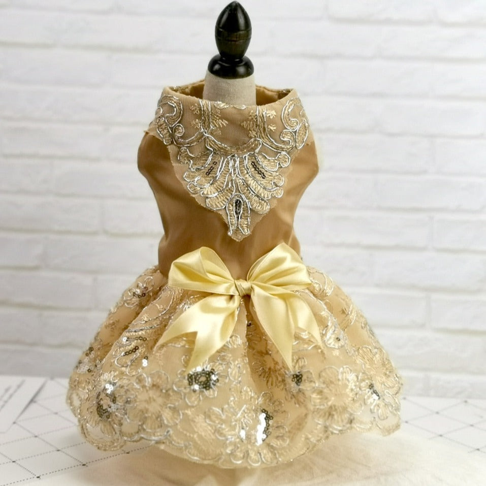 Princess Cat Dress - Champagne / XS