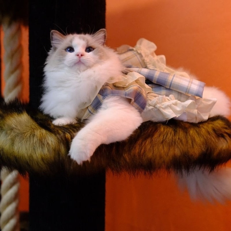 Princess Clothes for Cats - Clothes for cats