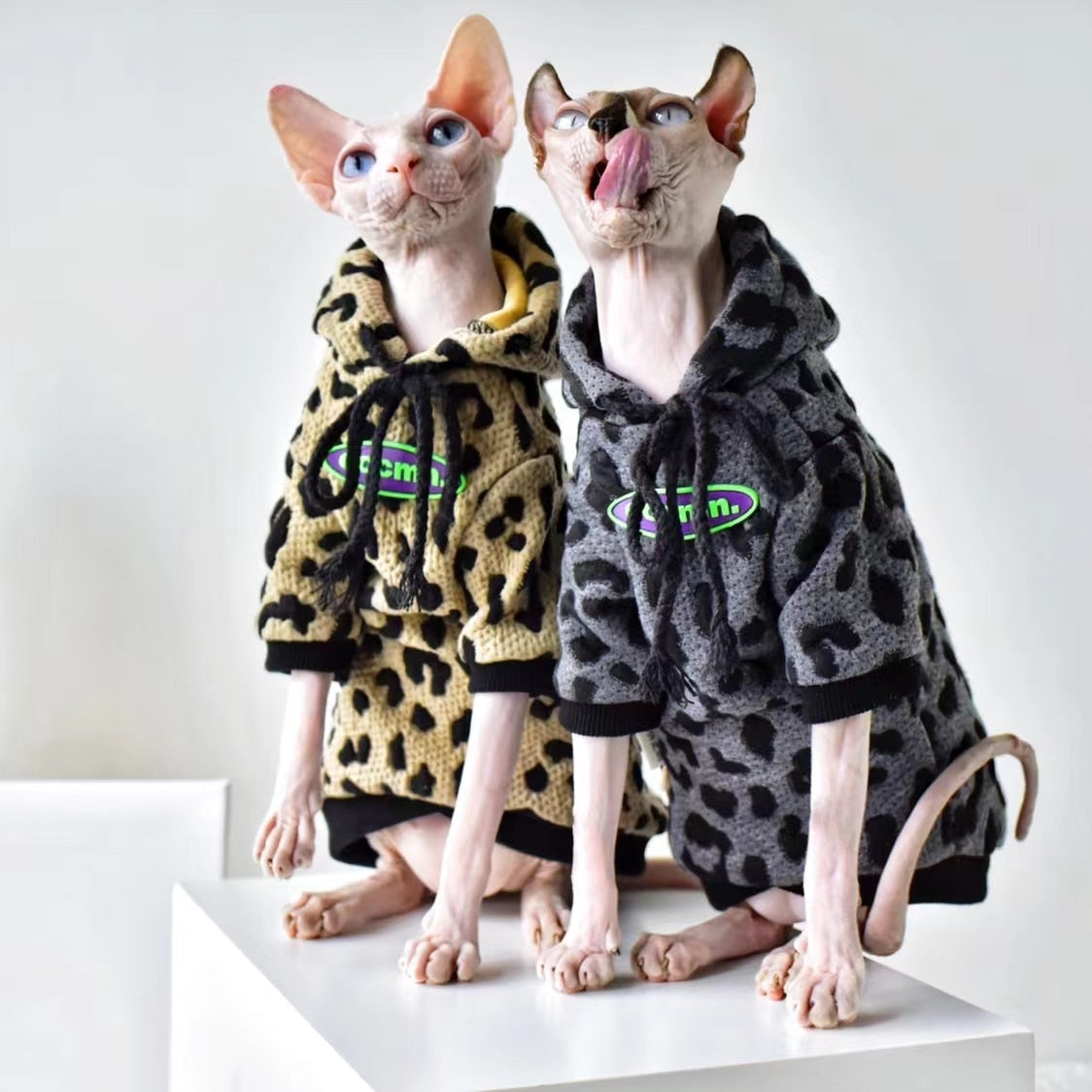 Pullover Clothes for Cats - Clothes for cats