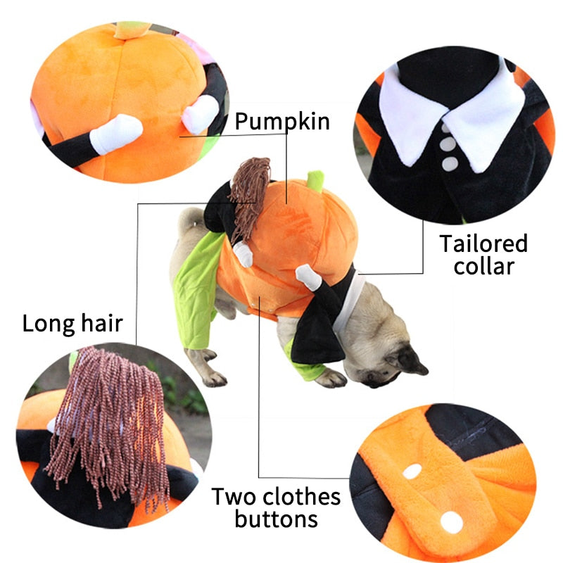 Pumpkin Costume for Cats