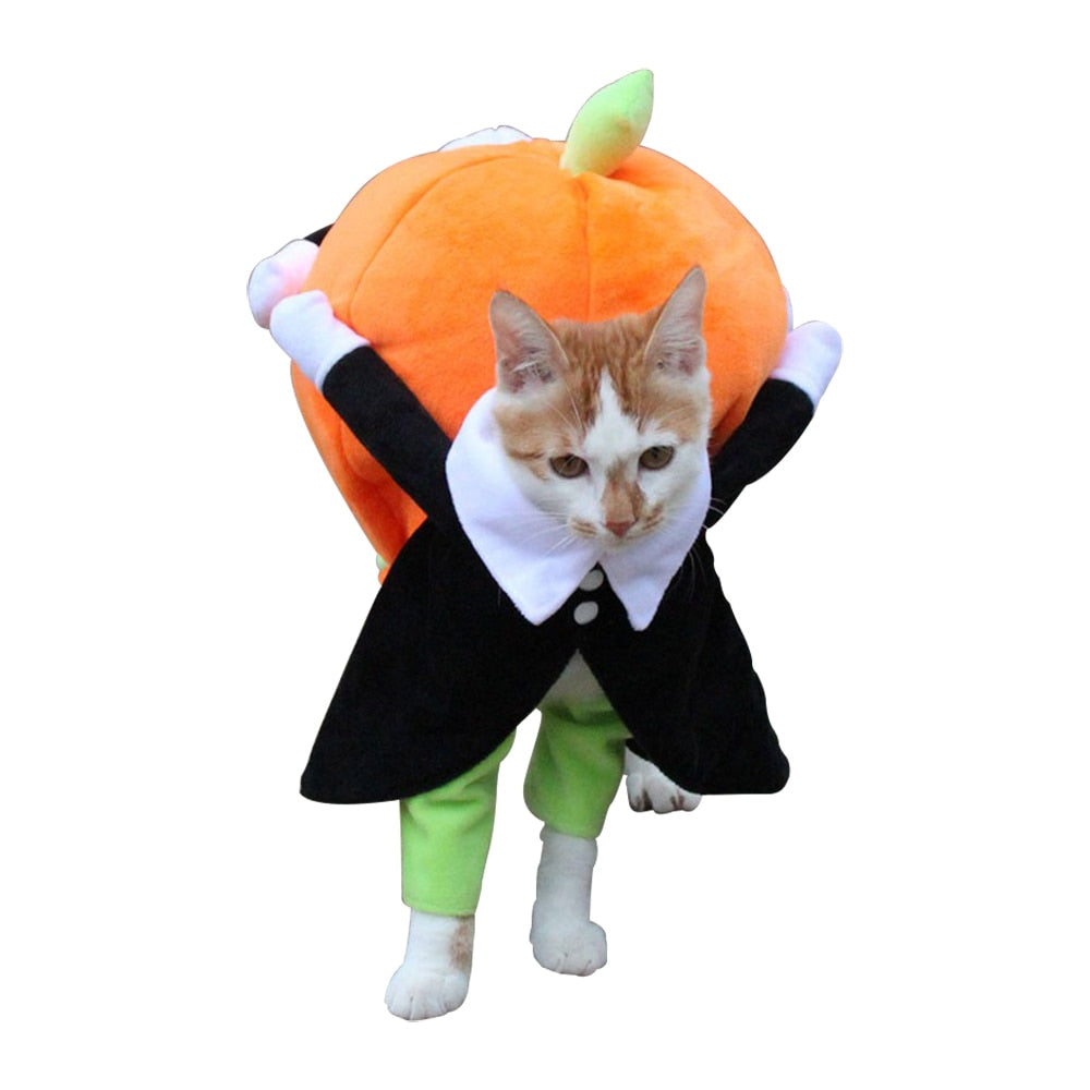 Pumpkin Costume for Cats