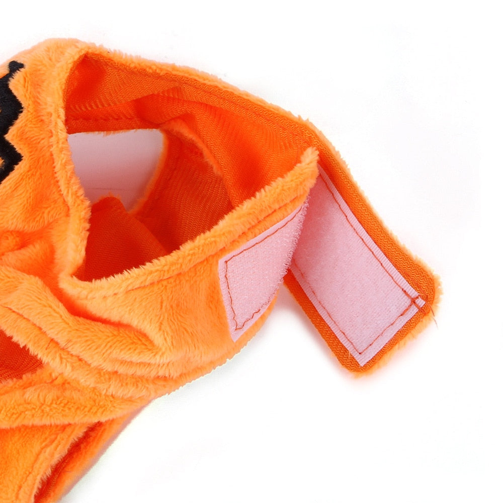 Pumpkin Hat for Cats - Hat for Cats