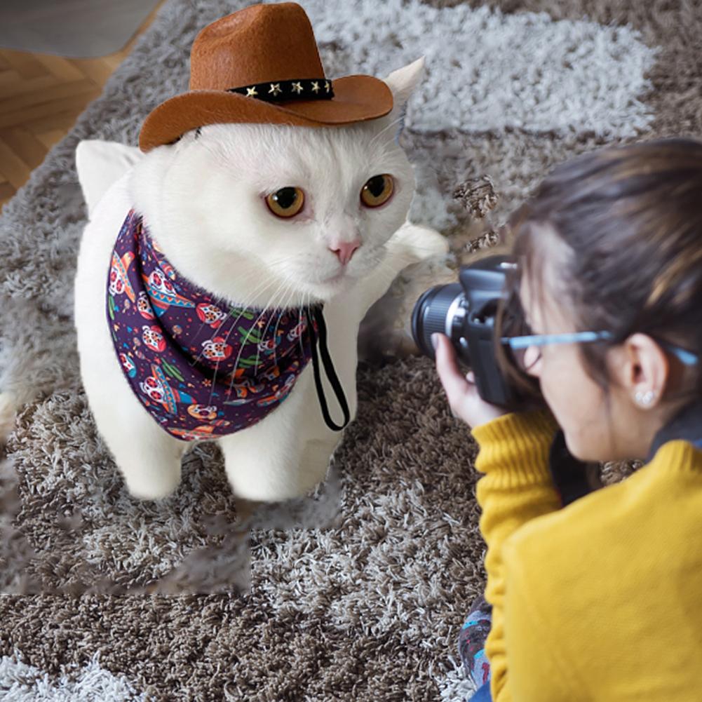 Puss in Boots Costume for Cats