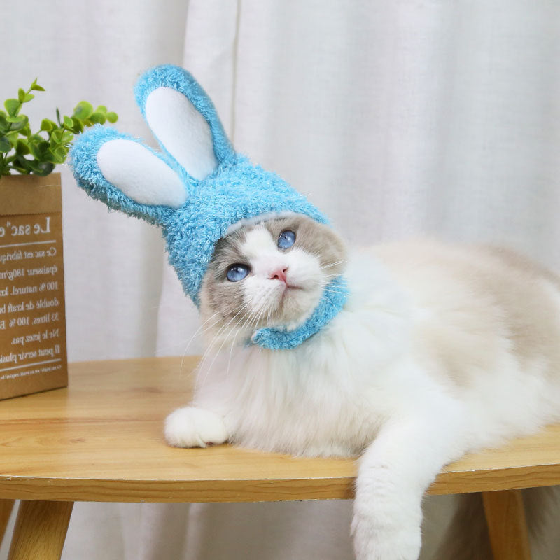 Rabbit Hat for Cats - Hat for Cats