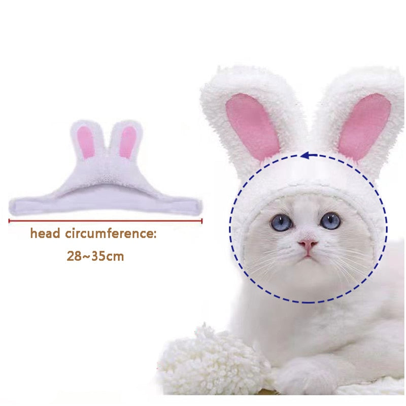 Rabbit Hat for Cats - Hat for Cats