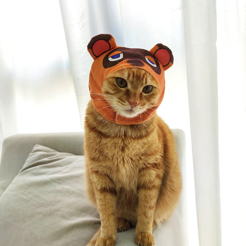 Raccoon Costume for Cat