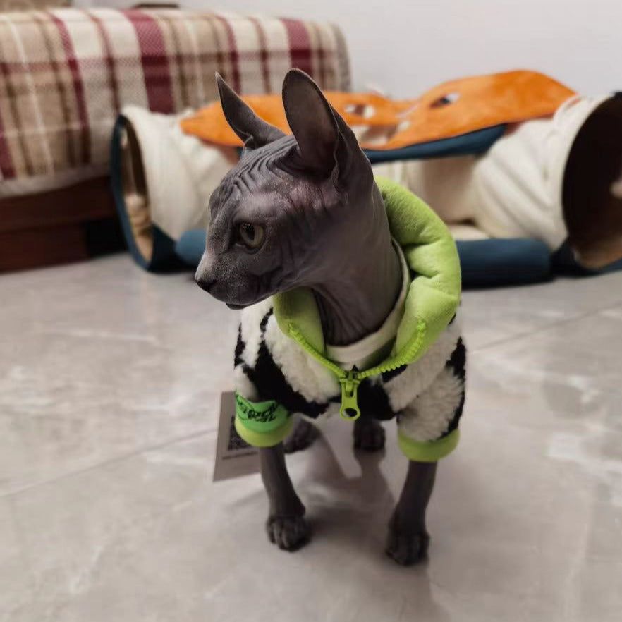 Racer Clothes for Cats - Clothes for cats