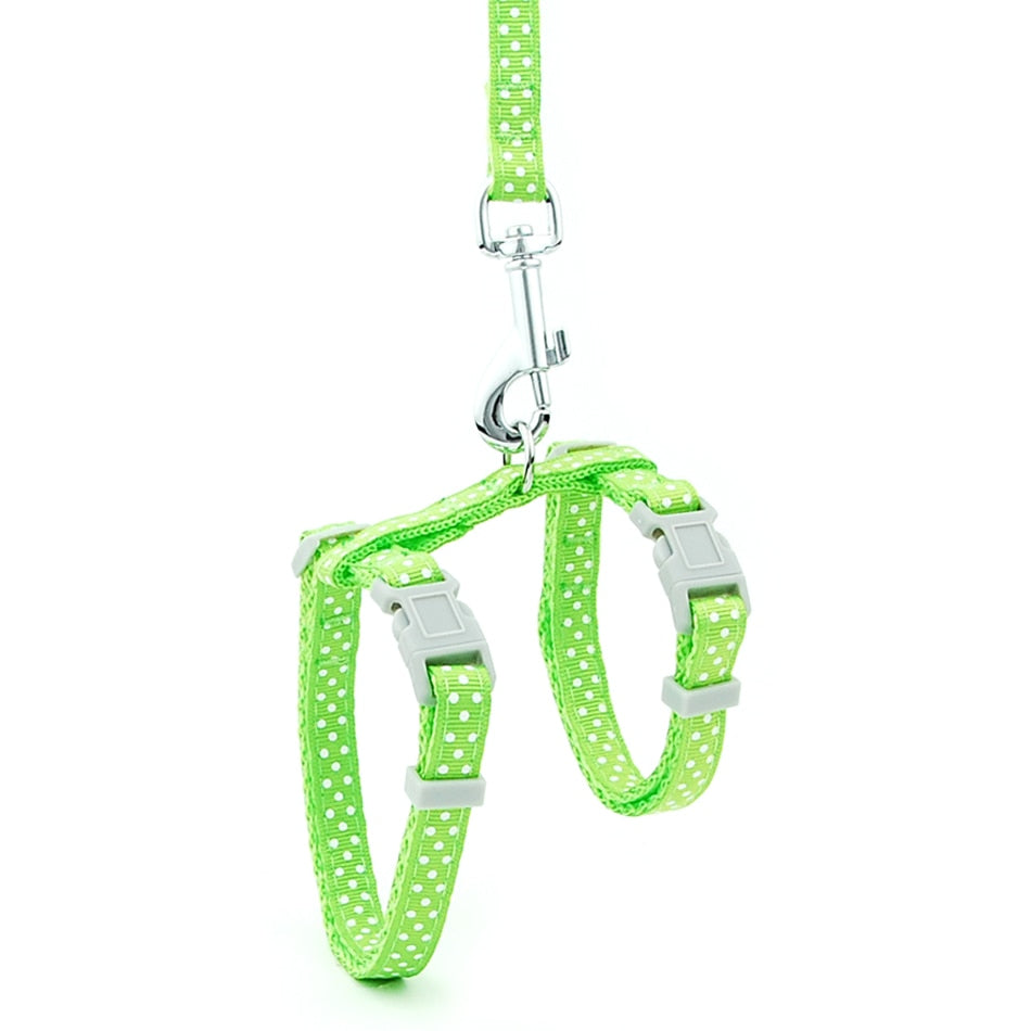 Reflective Cat Walk Harness - Green Dot Print / M