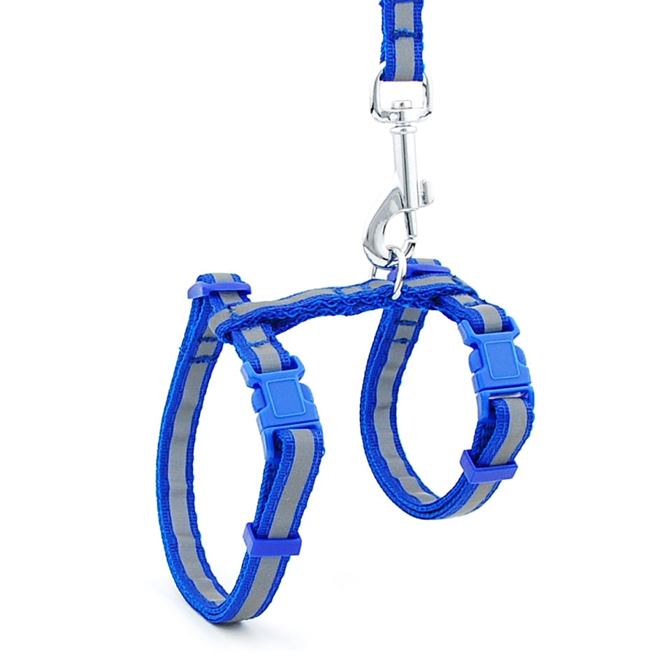 Reflective Cat Walk Harness - Blue Reflective / M