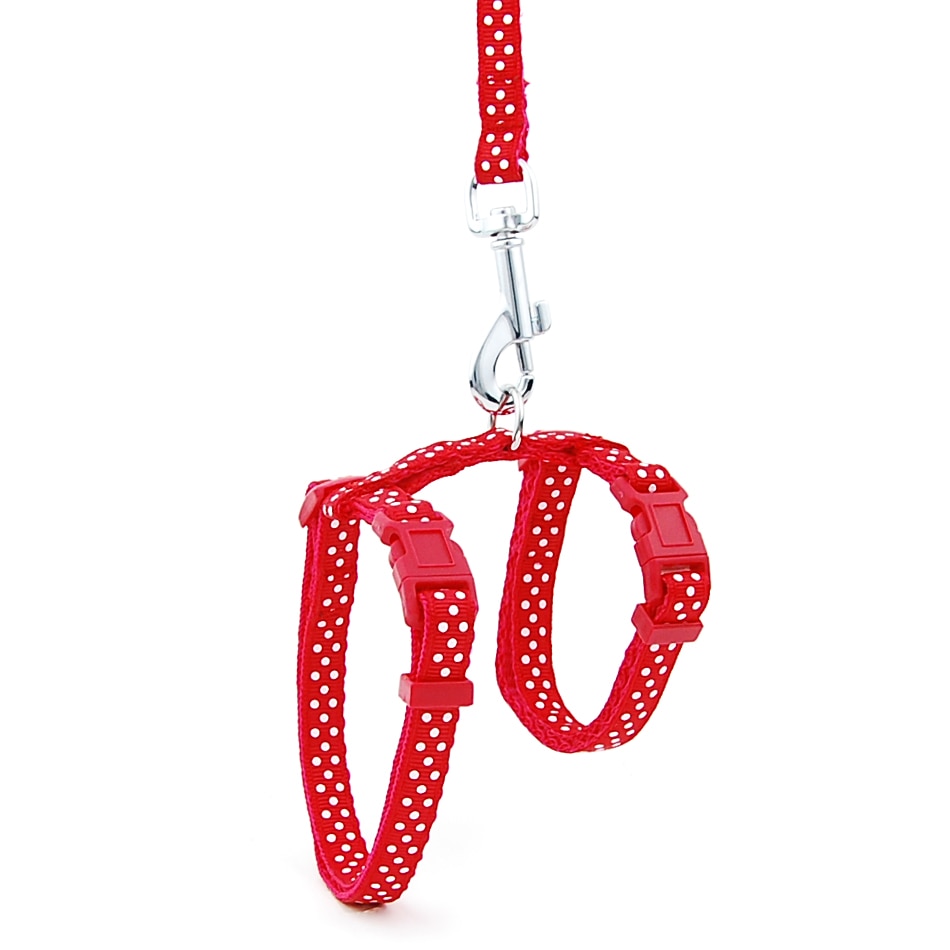 Reflective Cat Walk Harness - Red Dot Print / M