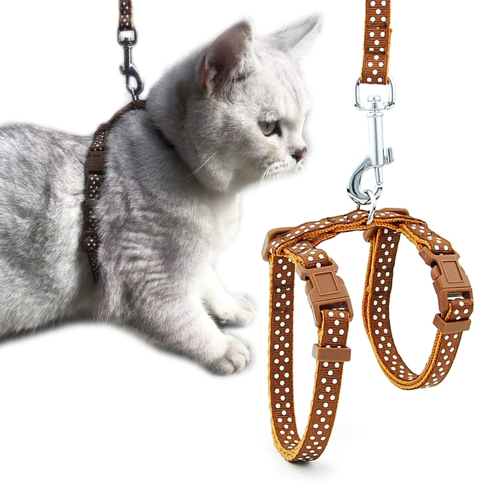 Reflective Cat Walk Harness