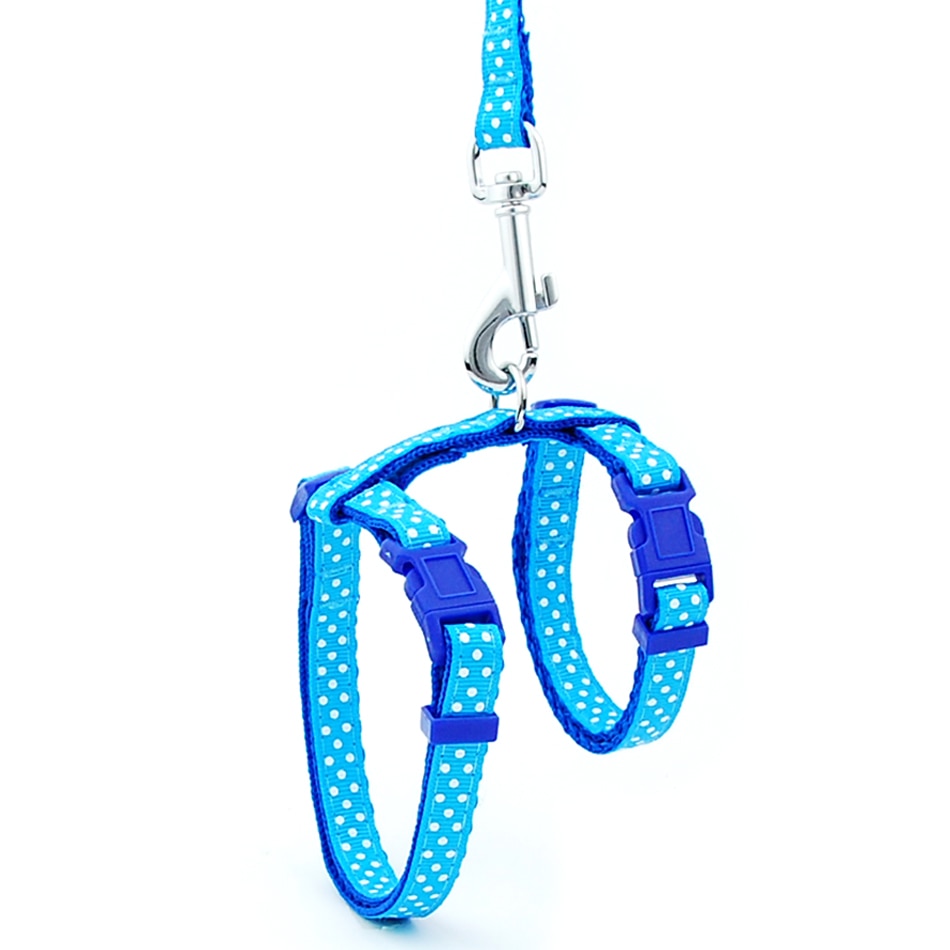 Reflective Cat Walk Harness - Blue Dot Print / M