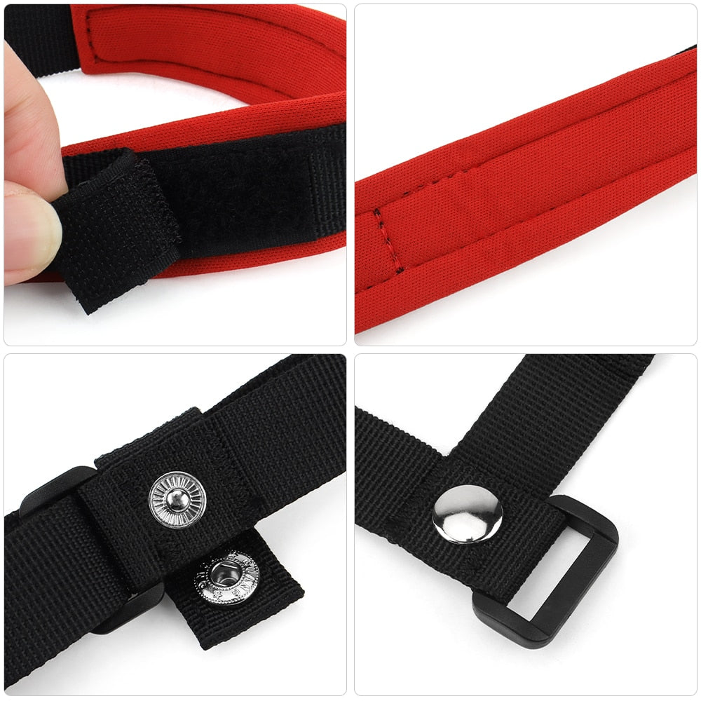 Retractable Cat Leash