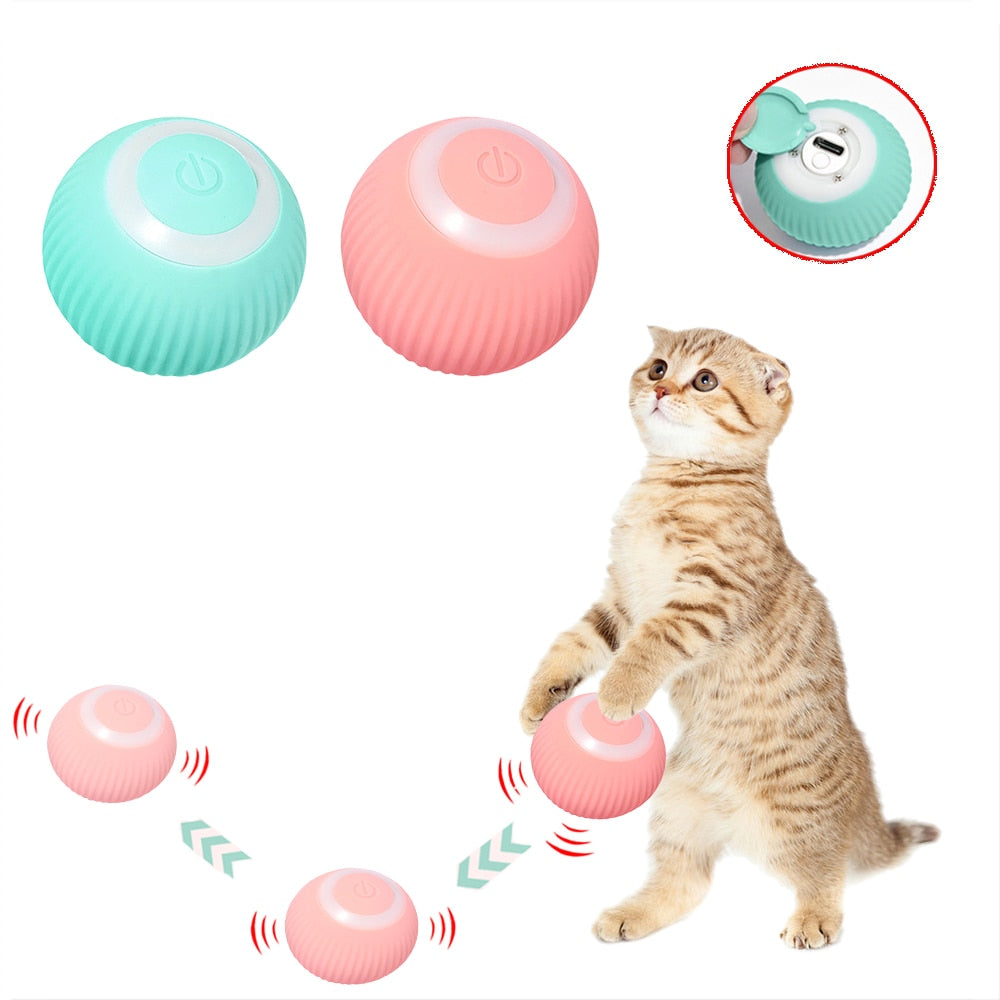 Rolling cat outlet toy