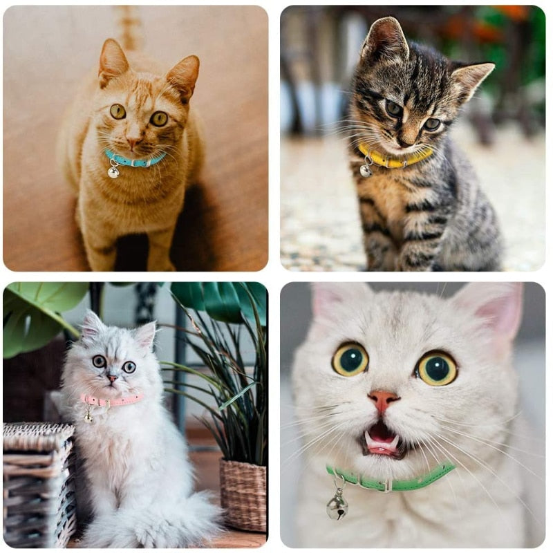 Safe Cat Collars - Cat collars