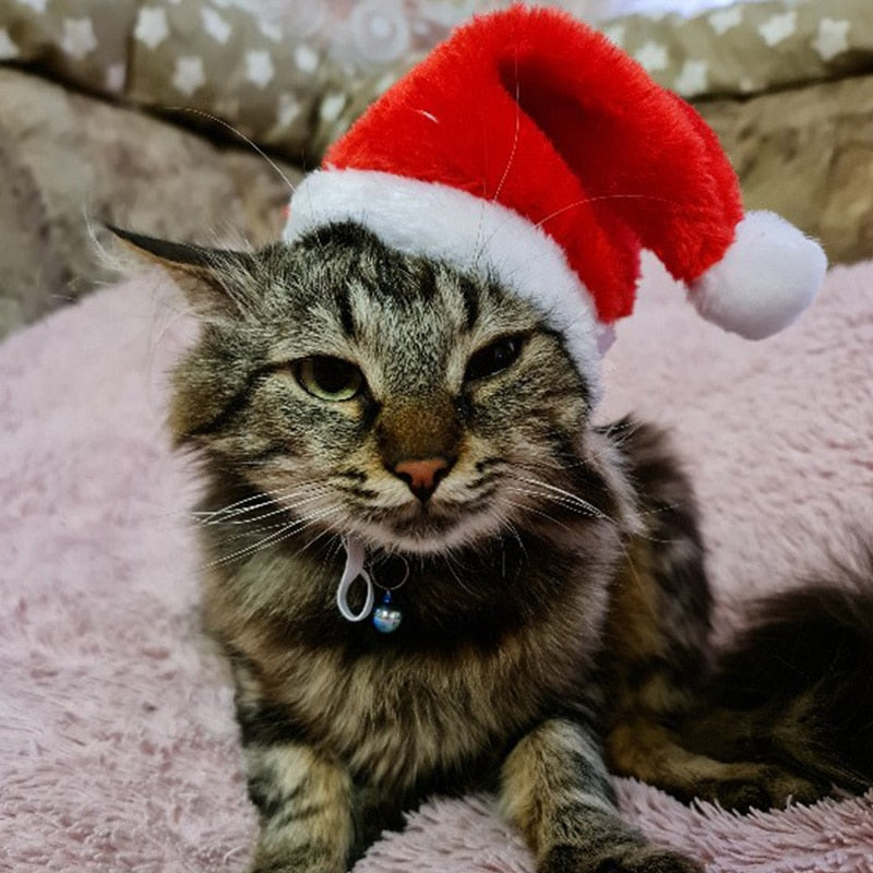 Santa Hats for Cats - Hat for Cats