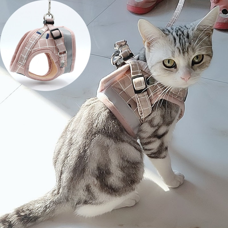 Secure cat clearance harness