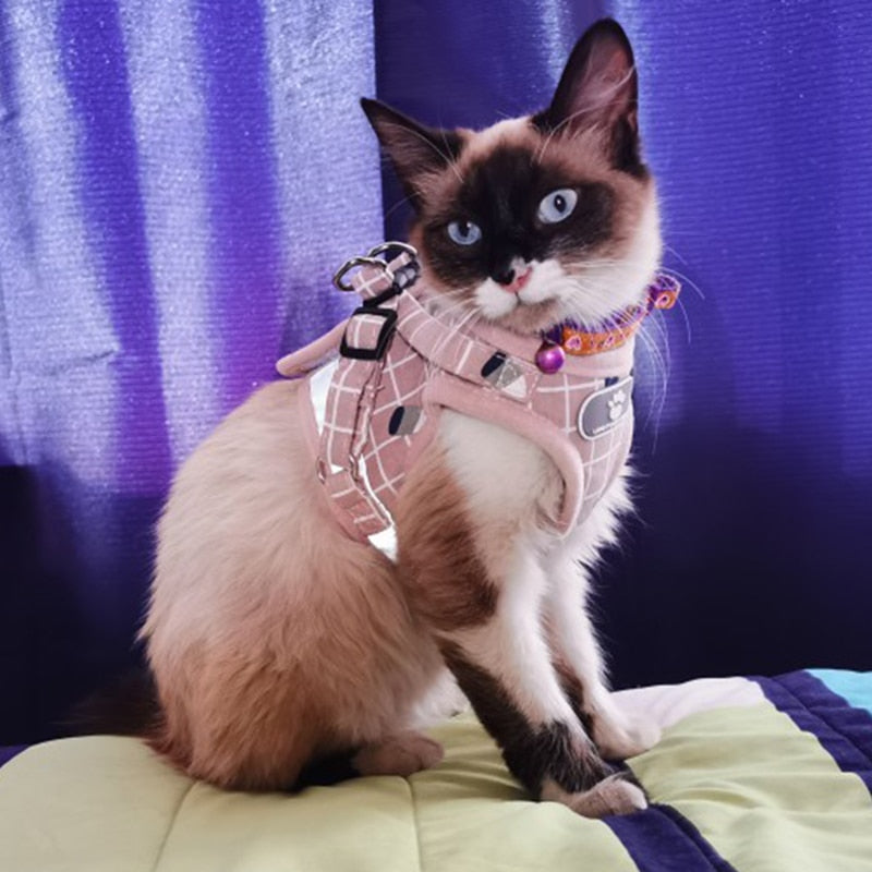 Secure Cat Harness