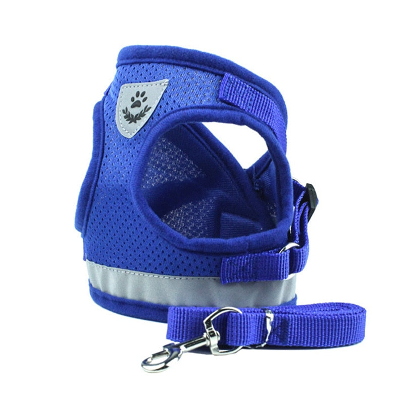 Secure Cat Harness - Blue Mesh / XS