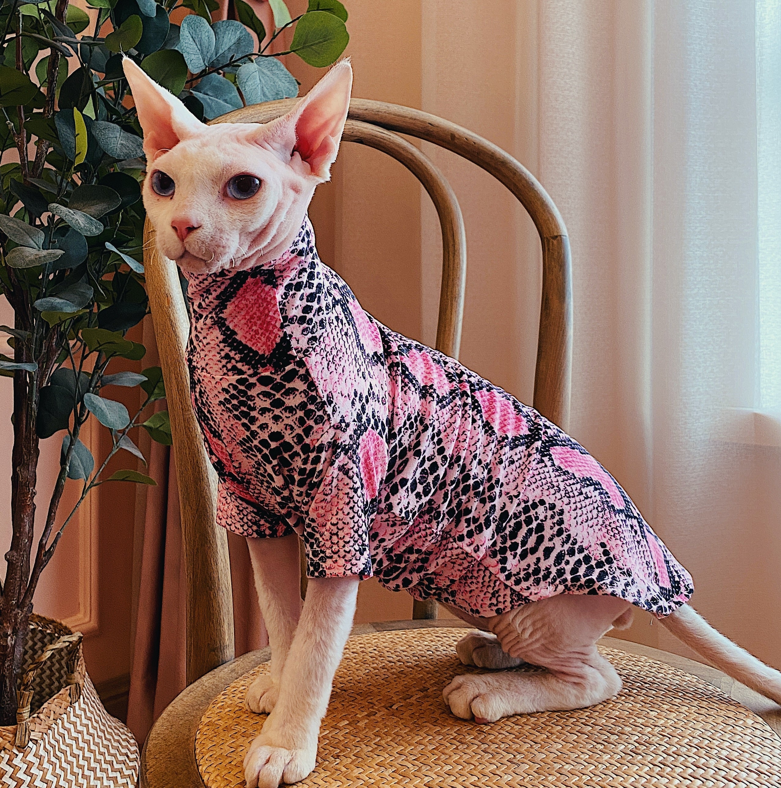 Shirts for Sphynx Cats - Shirts for Cats