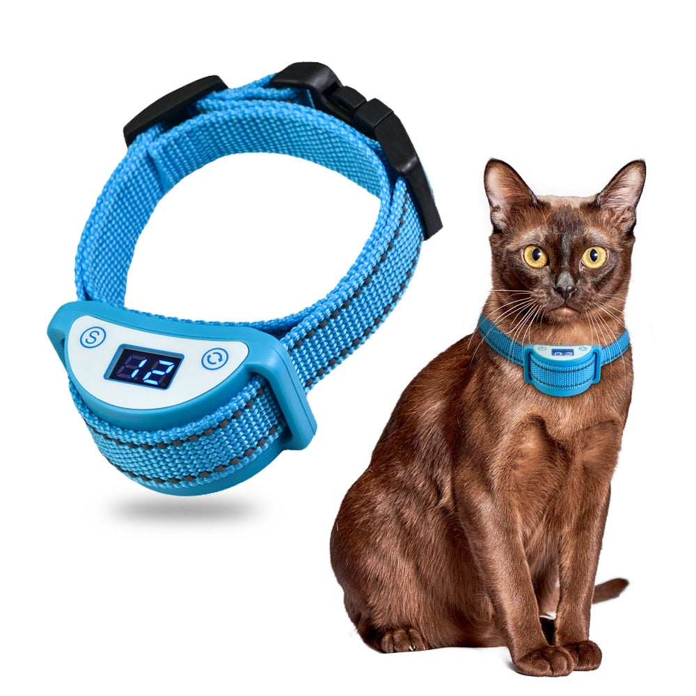 Shock Collars for Cats - Cat collars