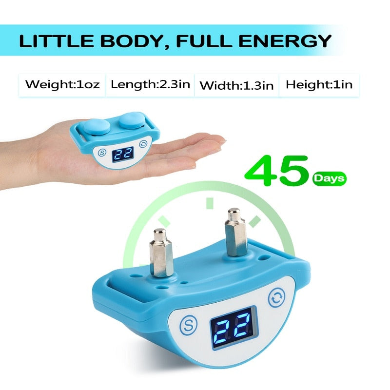 Shock Collars for Cats - Cat collars