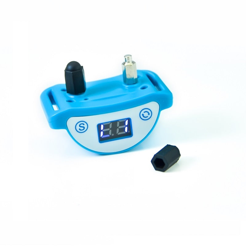 Shock Collars for Cats - Cat collars