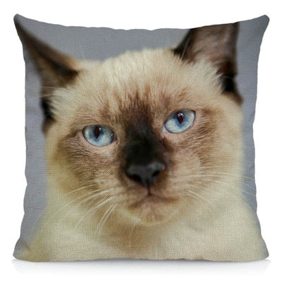 Siamese Cat Pillow - 40X40cm / Grey