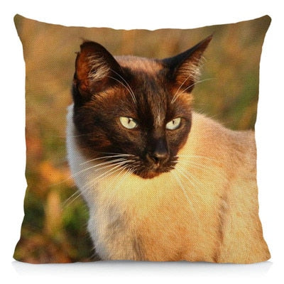 Siamese Cat Pillow - 40X40cm / Green