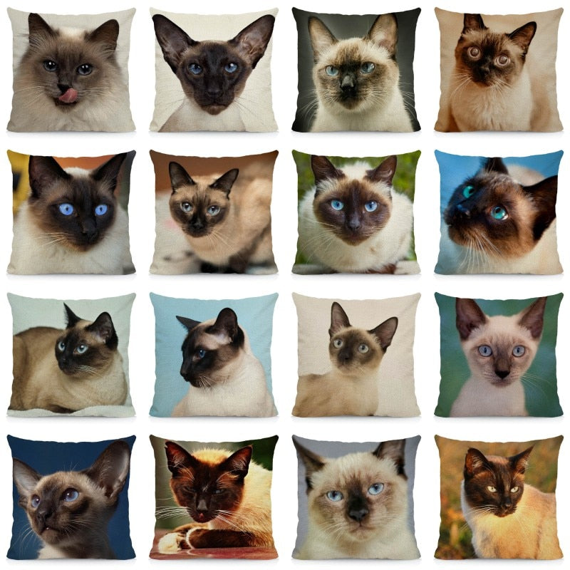 Siamese Cat Pillow