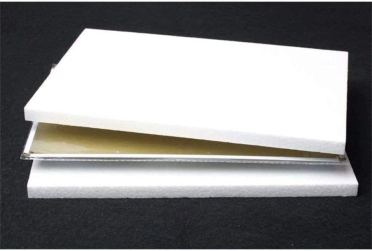 Siamese Cat Wall Art