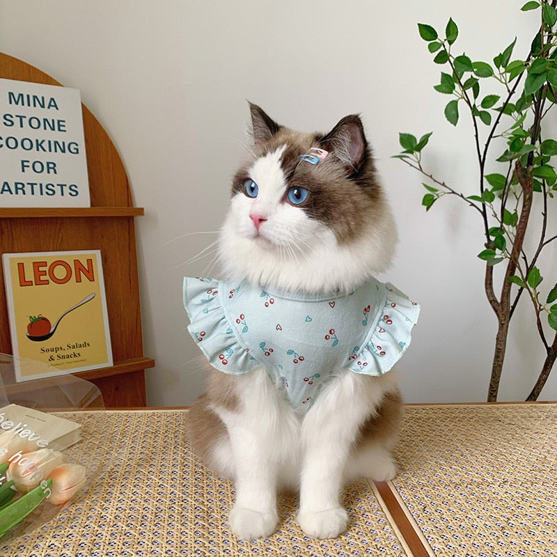 Simple Cat Dress