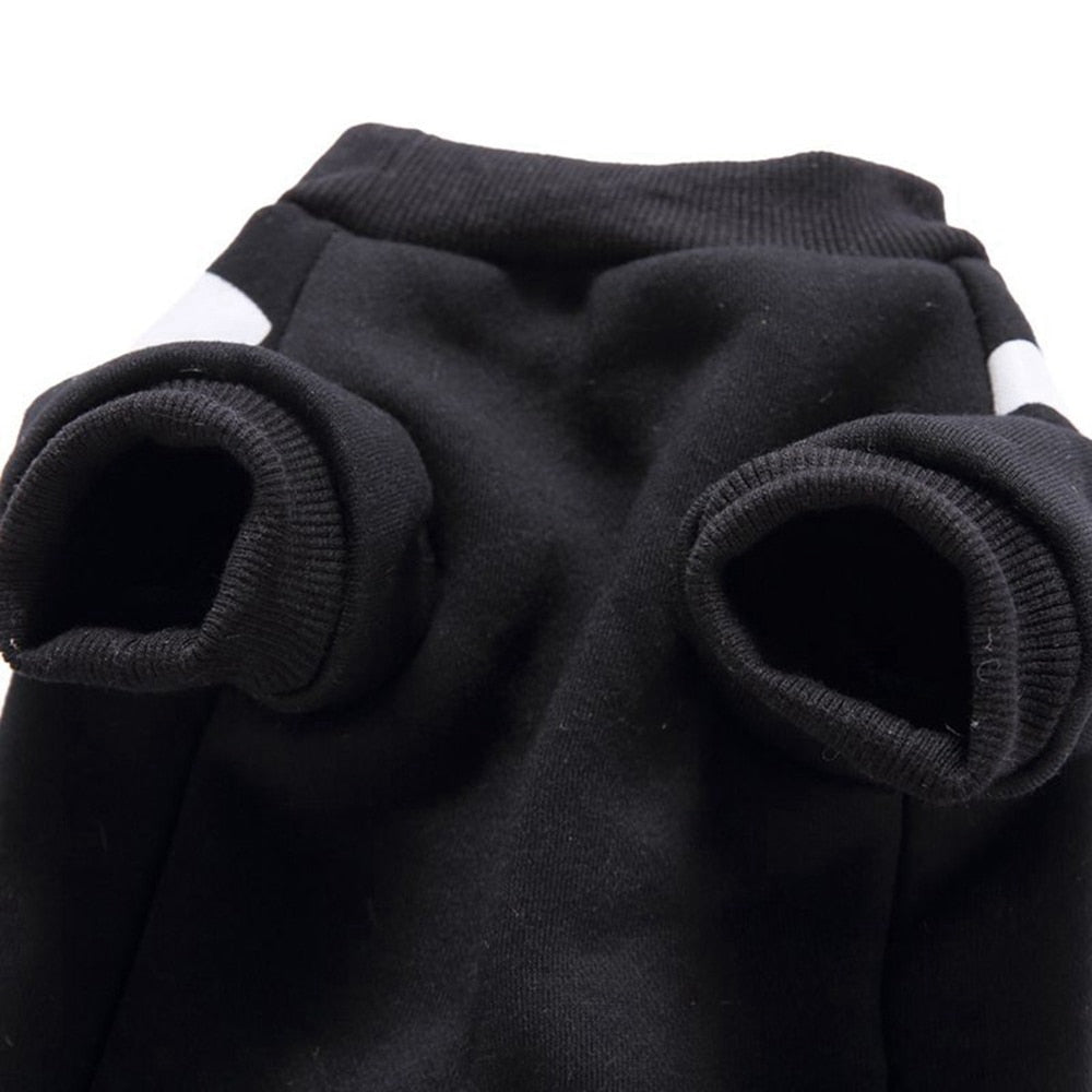 Skeleton Costume for Cat