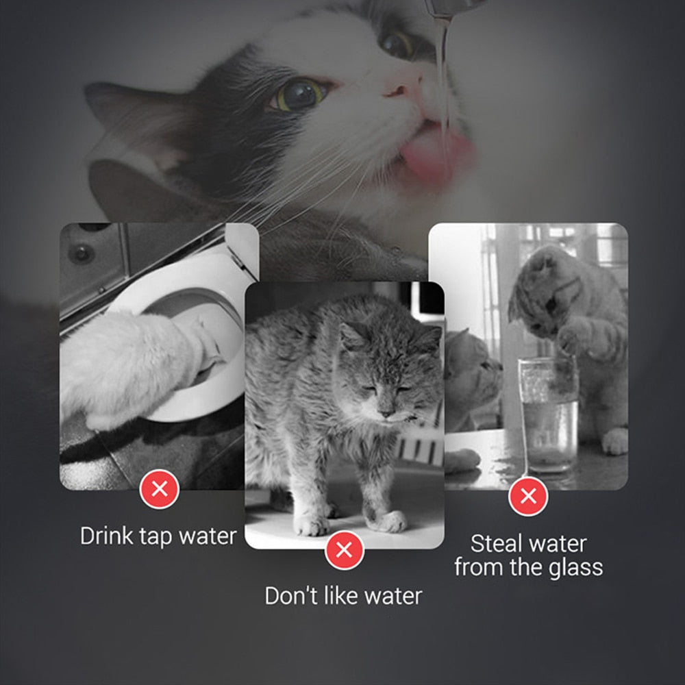Small Cat Water Fountain - Cat water fountain