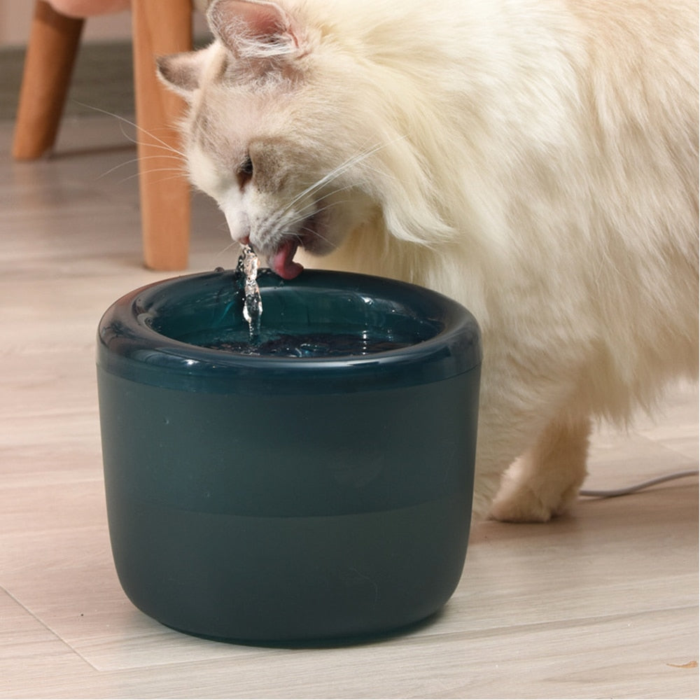 Small Cat Water Fountain - Cat water fountain