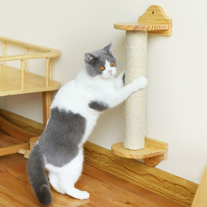 Smart Cat Scratching Post - Cat scratching post