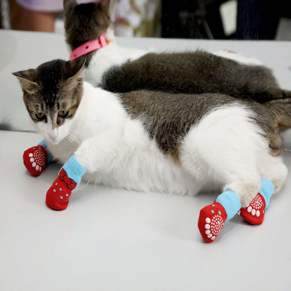 Socks for Cats Paws - Socks for Cats